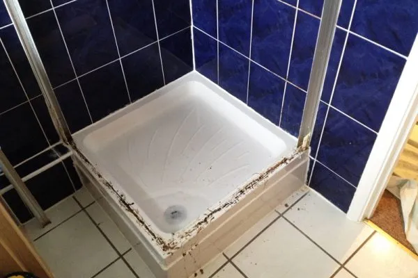 Shower repairing